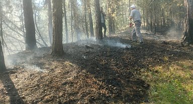 Ormanlık alandaki örtü yangını zamanında müdahaleyle söndürüldü