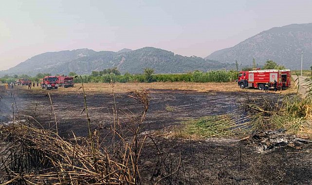 Ortaca'da sazlık yangını