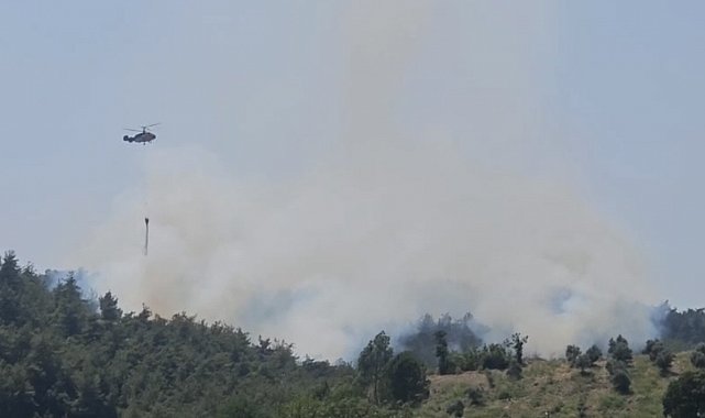 Osmaniye'de çıkan orman yangını söndürüldü
