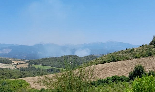Osmaniye'de orman yangını başladı