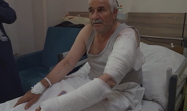 Ot biçen vatandaş kurdun saldırısına uğradı