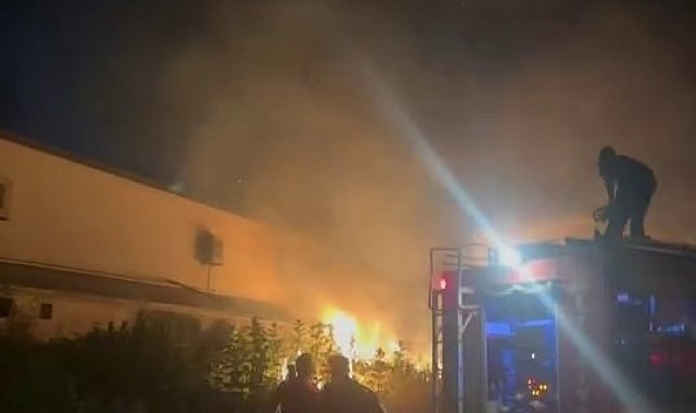 Otluk alanda başlayan yangın, tül fabrikasına sıçradı