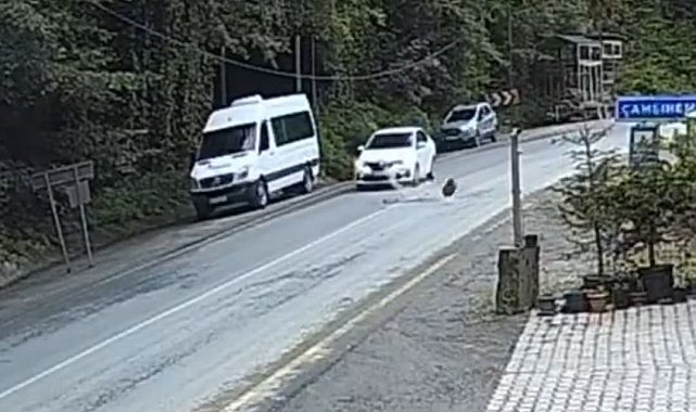 Otomobil düşen kayadan saniyelerle kurtuldu