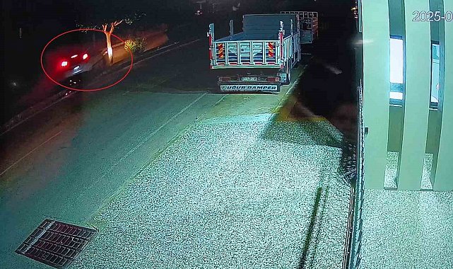 Otomobil refüjdeki ağaca çarptı, sürücü yaralandı