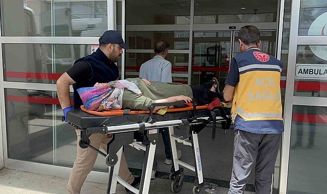 Otomobil şarampole devrildi: 8 yaralı