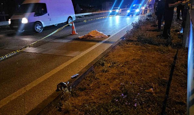 Otomobilin çarptığı yaşlı kadın hayatını kaybetti