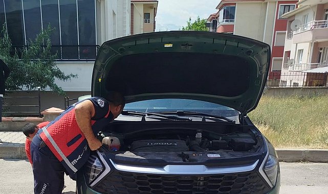 Otomobilin kaput kısmına sıkışan yavru kediler kurtarıldı