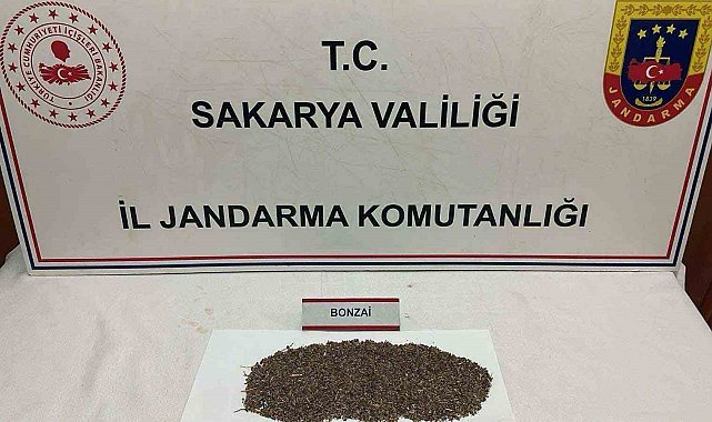 Otoyolda uyuşturucu sevkiyatı jandarmaya takıldı: 1 tutuklama