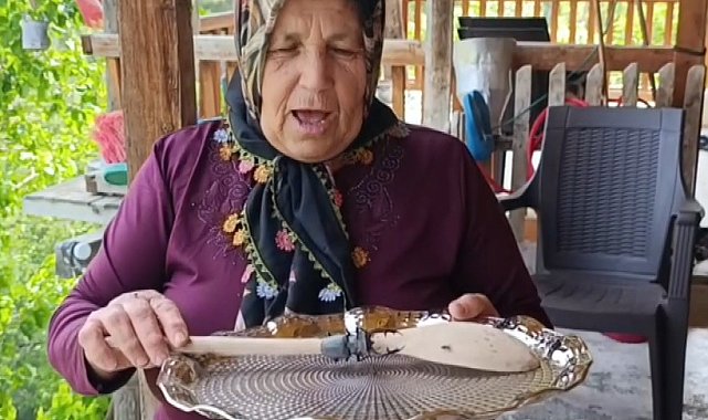 Parmak büyüklüğünde geyik böceği görüldü: Cezası 557 bin TL