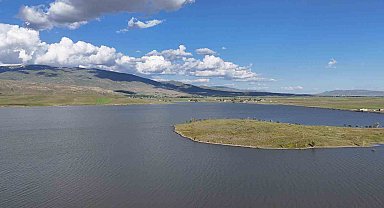 Patnos Barajı'nda balık çeşitliliği azalıyor