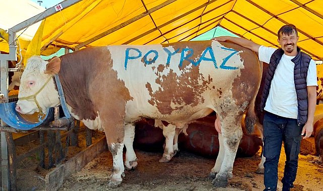 Pazarın ağır abisi "Poyraz" ilk günden satıldı