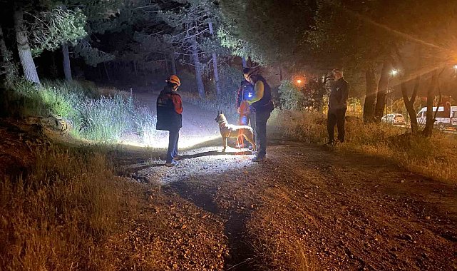 Pendik'te ormana girdikten sonra haber alınamayan şahıs için arama çalışmaları başlatıldı