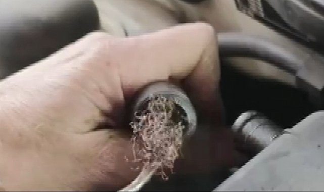 Pes dedirten görüntü: Otomobilin motorundan bulaşık teli çıktı