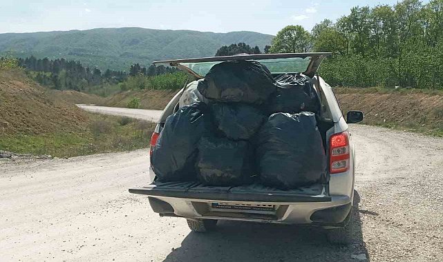 Piknikçiler kirletti, ekipler temizledi