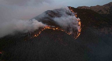 Rüzgara karşı mücadele veren ateş savaşçıları 500 hektar ormanı yanmaktan kurtardı