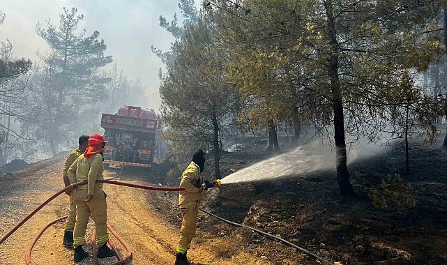 Sakarya'da başlayan orman yangını Osmaneli'ne de sıçradı