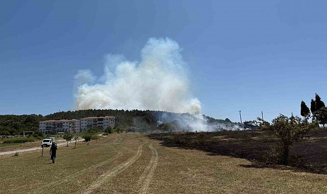 Sakarya'da depoda çıkan yangın ormana sirayet etti