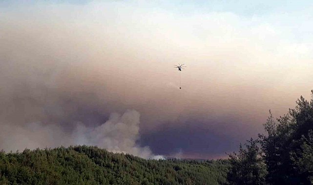 Sakarya'da ormanlık alanda çıkan yangına havadan ve karadan müdahale sürüyor