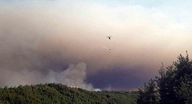 Sakarya'da ormanlık alanda çıkan yangına havadan ve karadan müdahale sürüyor