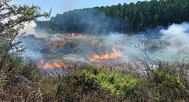 Sakarya'da ormanlık alanda yangın: Ekipler seferber oldu