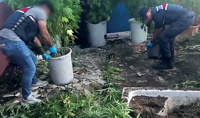 Sakarya'da uyuşturucu operasyonu: 1 tutuklama