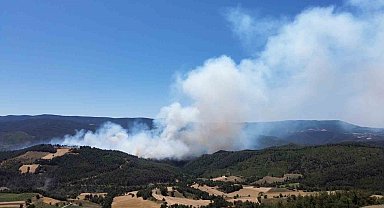 Sakarya'daki orman yangını havadan görüntülendi