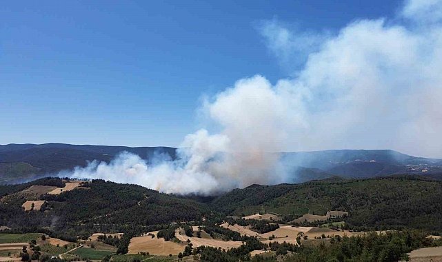 Sakarya'daki orman yangını havadan görüntülendi