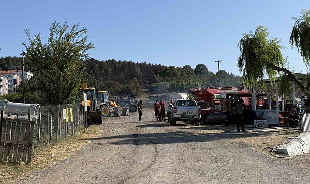 Sakarya'daki orman yangını kontrol altına alındı