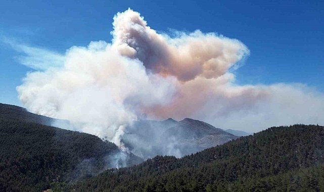 Sakarya'daki orman yangınına 700 personel, 200 araç ve 11 helikopter müdahale ediyor