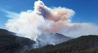 Sakarya'daki orman yangınına 700 personel, 200 araç ve 11 helikopter müdahale ediyor