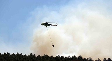 Sakarya'daki ormanlık alanda yangın: Havadan ve karadan müdahale ediliyor