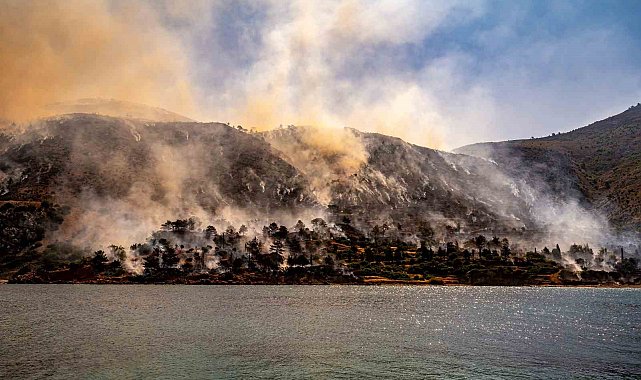 Sakız Adası'ndaki yangınla ilgili 1 kişi gözaltına alındı