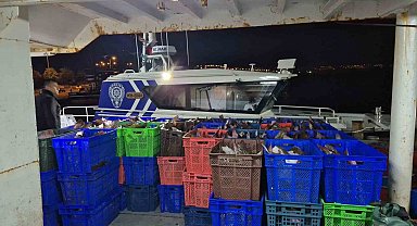 Samsun açıklarında 6 ton kaçak kalkan balığı ele geçirildi