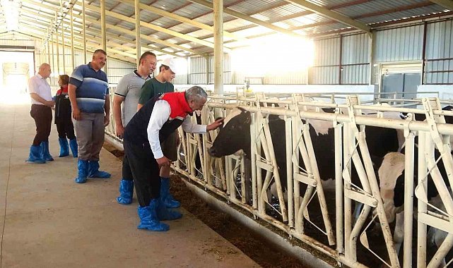 Samsun'da ari işletme sayısı 10'a yükseldi