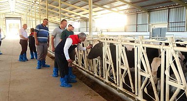 Samsun'da ari işletme sayısı 10'a yükseldi