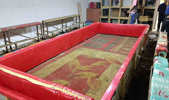 Samsun'da horoz dövüşüne polis baskını: 129 bin 458 lira para cezası