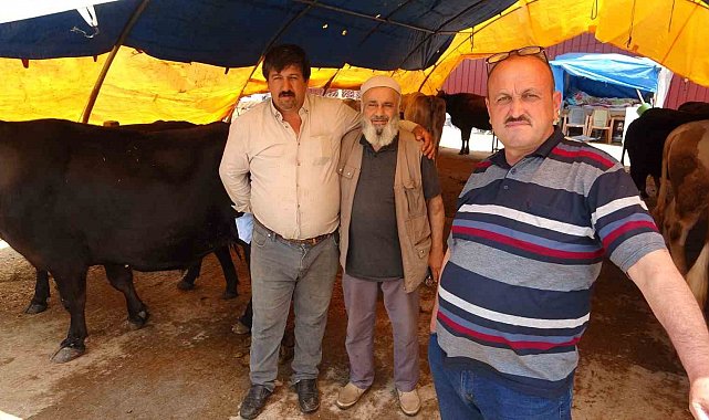 Samsun'da kurban pazarında yüzler gülüyor: Hayvanlar elde kalmadı