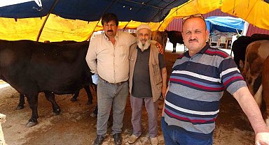 Samsun'da kurban pazarında yüzler gülüyor: Hayvanlar elde kalmadı