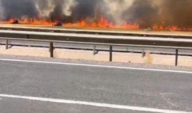 Şanlıurfa'da 100 dönümlük buğday tarlası küle döndü