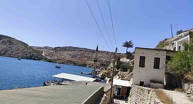 Şanlıurfa'da Afrika'yı aratmayan görüntü: Çizgili sırtlan kendisini görüntüleyenlere saldırdı