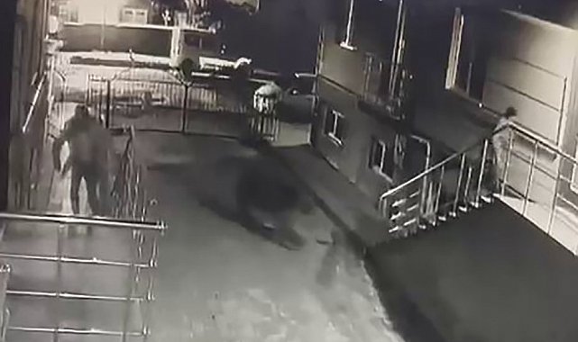 Sarıkamış'ta ayı vatandaşlardan, vatandaşlar ayıdan kaçtı