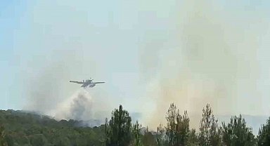 Şarköy'de ormanlık alanda çıkan yangına karadan ve havadan müdahale ediliyor