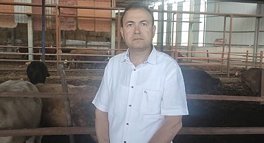 Sattığı kurbanlık dananın fotoğrafını çekerken canından oldu