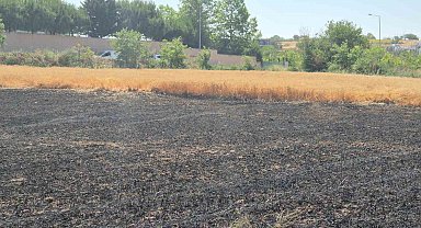 Şehir içindeki 30 dönümlük buğday tarlası alevlere teslim oldu