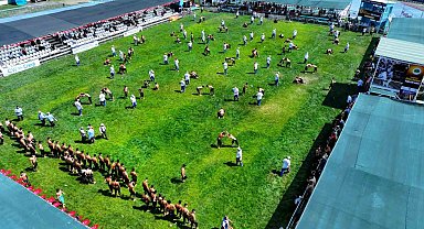 Sekapark Altın Kemer Yağlı Güreşleri'nde heyecan başladı