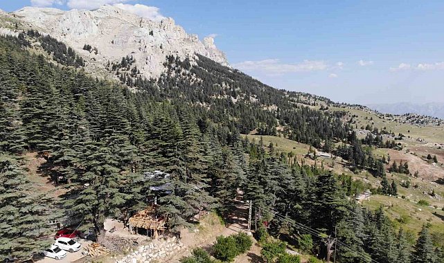Sıcaklardan kaçanların adresi, Ilıca'nın yeşil kalbi: Halimin Gölü