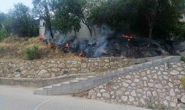 Sigara içen çocuklar otları tutuşturdu