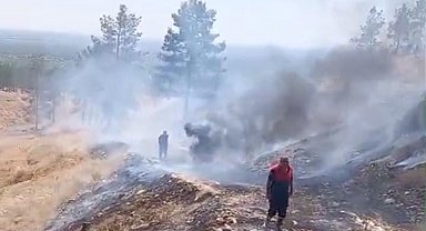 Sigara izmaritleri yangınlara neden oldu