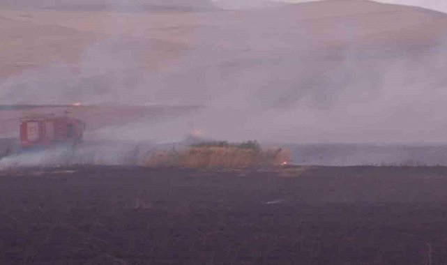 Siirt'te buğday tarlasına yıldırım düştü