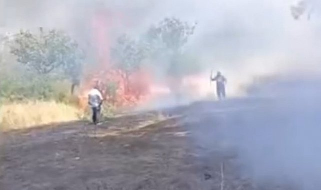 Siirt'te çay için yakılan ateş fıstık ağaçlarını küle çevirdi